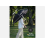 Umbrella Windproof Strong Travel Practica Automatic Large GREEN Folding Umbrella 4