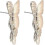 Efficient Golden Butterfly Earrings, Delicate and Suitable for Multiple Occasions 4