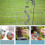 Hummingbird Feeder, 1 Piece, Multiple Feeding Points, Transparent and Easy to Hang 2
