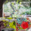 Hummingbird Feeder, 1 Piece, Multiple Feeding Points, Transparent and Easy to Hang 4