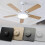 220V Plafondventilator Snelheidsregelaar Wanddimmer Traploos Wit 2