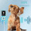 MP3-Player, Luqeeg6dx2rqn47s - 13, Digital Blue Appearance 4