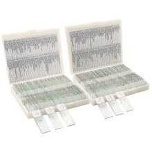 Efficiënte microscoopglaasjes, transparant glas/veilige afgeronde hoeken, 200 stuks, met etiketten/opbergdoos, biologisch lesmateriaal