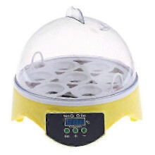 Effizienter Inkubator mit 110-V-Temperaturregelung und eingebautem Ventilator für die Aufzucht kleiner Vögel