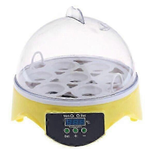 Efficient Incubator with 110V Temperature Control System Built-in Fan Small Bird Hatching Equipment