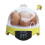 Efficient Incubator with 110V Temperature Control System Built-in Fan Small Bird Hatching Equipment 3