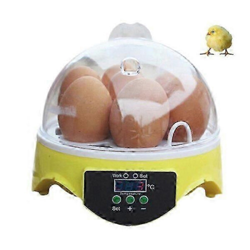 Efficient Incubator with 110V Temperature Control System Built-in Fan Small Bird Hatching Equipment 2