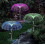 Reliable Landscape Lights 6-8 Hours Battery Life 2 Pack Solar Decorative Lights 2