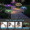 Reliable Landscape Lights 6-8 Hours Battery Life 2 Pack Solar Decorative Lights 3
