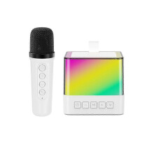 Machine de karaoké avec 1 microphone sans fil, enceinte Bluetooth portable avec système de sonorisation, coupure vocale, entrées USB, SD et AUX.