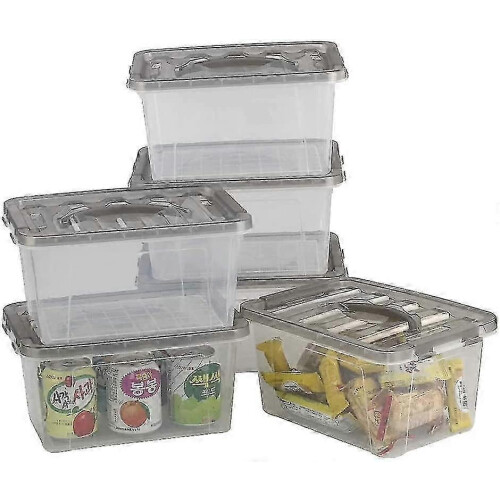 Kit of 6 Clear Plastic Storage Boxes with Lids, Small Storage Box