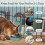 2 Pack Automatic Cat Feeder, Pets Automatic Food Feeder and Waterer Set,Cat Dog Feeder(Green) 5