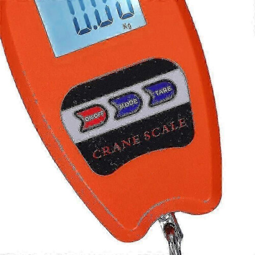 Efficient 200 Kg Professional Industrial Digital Scale, Dynamometer Hook Spring 1