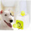 Lançador de bolas automático e resistente para cães, lançador automático de bolas para cães, lançador de bolas para cães. 5