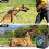 Efficient Bark Control Device Ultrasonic Anti Barking Device, 2025 Stop Dog Bark Deterrents with Adjust 4