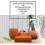 Reliable Orange Ceramic Bathroom Accessory Kit 4-Piece 2
