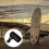 Paddle Clamp Boat Paddle Shaft Clamp Quick Release Surf Paddle Lock for Kayaking 3