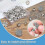 Efficient Locking Pin Back Metal Pin Backing, Locking Pin Keeper Clasp for Brooch Enamel Lapel 40PCS 5