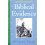 Understanding Biblical Evidence Vol. 1 by Sours Paperback Book 1