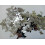 (White / Iridescent) Butterfly Shaped Foil Table Scatter Confetti 6