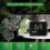 (with touch screen-EU) Automated Electronic Sprinkler System Kit For Intelligent Terrarium Humidification And Mist Timing 1