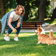 5er-Pack Ziegenhalsbänder mit Glöckchen für kleine Nutztiere, Schafe und Rinder – YXY