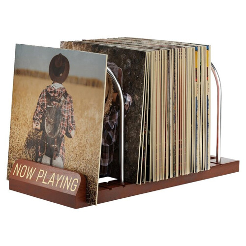 Rangement Extensible pour Disques Vinyles, Support Réglable pour 30 à 70 LP avec Indicateur de Lecture, Support pour Disques Vinyles 1
