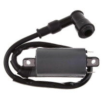 Ignition Coil Buyang 300CC D300 G300 H300 ATV