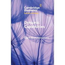 Dynamic Capabilities by Bart Nooteboom Paperback Book