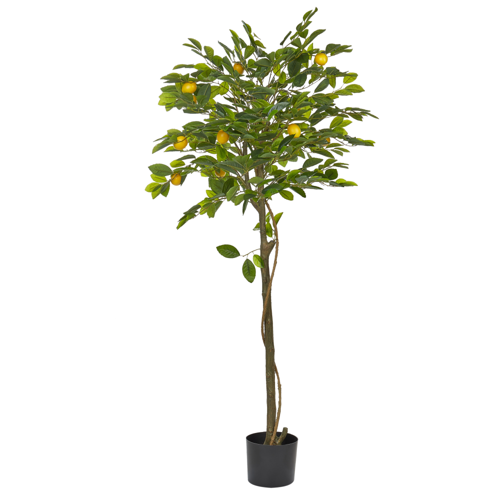 Photos - Other Decoration Beliani Artificial Plant LEMON TREE 156 cm Green 