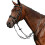 (Cob, Black) Collegiate Syntovia+ Plain Flat Running Martingale 1