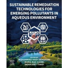 Sustainable Remediation Technologies for Emerging Pollutants in Aqueou