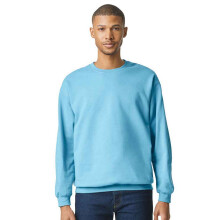 (L, Sky Blue) Gildan Unisex Adult Softstyle Midweight Sweatshirt
