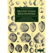 British Fossil Brachiopoda Volume 3 by Thomas Davidson Paperback Book