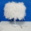 Fluffy Feather Table Lamp - E27 Bulb Compatible (Not Included) 6