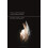 Secrecy and Community in 21stCentury Fiction Paperback Book 1