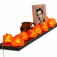 LED Flower String Lights, Warm White, 20 LEDs, Remote Control, Waterproof, Battery Operated, Halloween Decoration