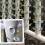 20 Sets Hydroponic Soil-Free Growing System DIY Hydroponic Nursery Garden Kit 3