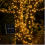 Solar Waterproof Multicolor LED String Lights, 200 LEDs, 8 Modes, Outdoor Christmas Decoration 2