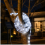 Solar LED String Lights White for Outdoor, 200 LEDs, 8 Modes, Garden and Tree Decoration, with Solar Panel 3