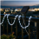 Solar LED String Lights White for Outdoor, 200 LEDs, 8 Modes, Garden and Tree Decoration, with Solar Panel 5