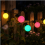 24V Low-Voltage LED Globe String Lights, 20 Warm Light Bulbs for Tent and Garden 5