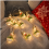 USB Christmas LED Bulb String Lights with Remote Control, 10 Bulbs, 8 Modes, for Tree and Indoor Décor 5