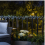 Solar Copper Wire LED String Lights Cool White, 300 LEDs, 9 m, Remote Control, 8 Modes, Waterproof Outdoor 4