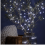 Solar Copper Wire LED String Lights Cool White, 300 LEDs, 9 m, Remote Control, 8 Modes, Waterproof Outdoor 3