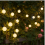 Solar LED Globe String Lights, 40 Warm White Waterproof Lights for Camping, Tent and Wedding Décor, Remote Control and USB 4