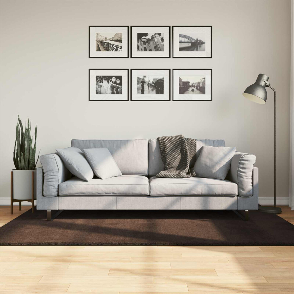 Vidaxl Medium Pile Soft And Washable Rug Huarte Brown 170 X 120 Cm