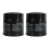 2PCS oil filter 16097 0002 Vulcan 500 LTD replacement 4