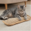 Sisal Cat Scratching Pillow with Catnip, Extra Large 2