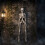 Samuel Alexander 3ft (90cm) Posable Full Body Halloween Skeleton Decoration with Movable Joints 1